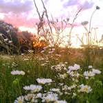 Hannah Vantrease Photography 📷 - @hannahvantreasephotography - Instagram