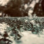 Hannah Venable - @hannahs_detailing - Instagram