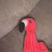 Hannah Vessey - Facebook