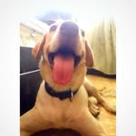 Hannah Vidal - @hannah_geli - Instagram