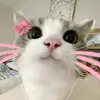 Hannah vidal - @hannah.vidal10 - TikTok