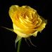 Hannah Wegener - Facebook