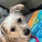 Hannah Winston - Facebook