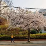 Hanny Wu - @hanny_codomo - Instagram