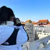 HannyWu - @hannywu1208 - TikTok
