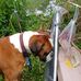 Hans Bauer - Facebook