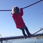 Hans Bauer - @hansmitter1212 - Instagram