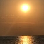 Hans Blankestijn - @hansblankestijn - Instagram