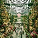 Hans Günter Finke - @hansguenterf - Instagram