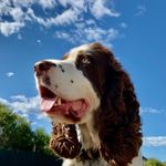 HansnMurph - @hans_gardner - Instagram