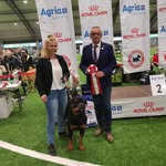 Joan Jespersen Hansen - @joanjespersenhansen - Instagram