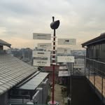 Hans Kang - @ozhanskang - Instagram