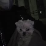 Hans Kang - @hans.kang.56 - Instagram