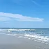Hans kang - @hans520131 - TikTok