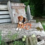 Hans Mayer - @hansmayer582 - Instagram