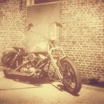 Hans Mertens - @hans.mertens66 - Instagram