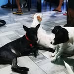 Hans H Miranda - @hansmiranda63 - Instagram