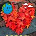 Hans Mitchell - Facebook
