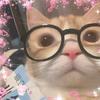 hans_morgan0 - @hans_morgan0 - TikTok