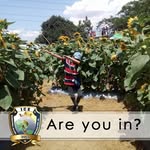 Hans Morgan Mercado - @hansmorganmercado - Instagram