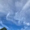 hansonmorgan - @hansonmorgan - TikTok