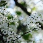 Hans Schäfer - @scharf1256 - Instagram