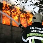 Hans Schellens - @hansschellens - Instagram