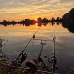 Hans Schulz - @hans116352 - Instagram