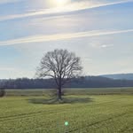 Hans Schulz - @hans_und_sigridschulz - Instagram