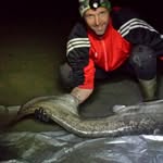 Hans Schulz - @hansi_schulz1 - Instagram