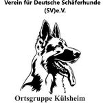 Hans-Peter Seitz - @ogkuelsheimhanspeterseitz - Instagram