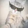 HANS SOLO! - @ghd.hans - TikTok