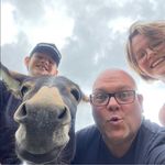 Hans Steiness - @hans_steiness - Instagram