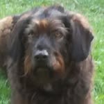 Hans-Jürgen Vogt - @hans40345 - Instagram