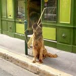 Hans Wolf - @hans_wolf - Instagram