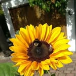 Hans Wolf - @hans.wolf.7334504 - Instagram