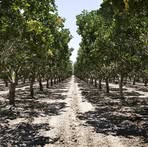 Hansen Ranches - Facebook