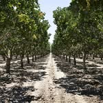 Hansen Ranches - @hansen_ranches1907 - Instagram