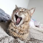 Zoey Rose Hansen-Williams - @_zoey_hansen_williams_ - Instagram