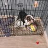 Hanson Brown - @hanson.brown - TikTok