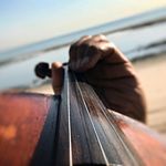 🎼Haنy🎻 - @hanyayoub2023 - Instagram