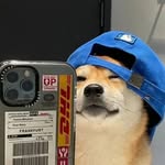 Hào Chung - @cchw.3.0 - Instagram