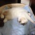 Hao Fang - Facebook