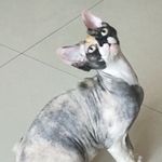 郝放 - @haofang14 - Instagram