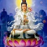 莊皓芳 - @haofangzhuang - Instagram