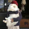haohong - @mengljnyonl - TikTok