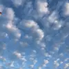haohong - @user1220512084319 - TikTok