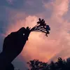 Hao Ngo - @capoxi - TikTok