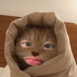 王皓 - @haowang_0317 - Instagram