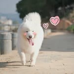 Chen Guan Xi - @haolinyu4 - Instagram